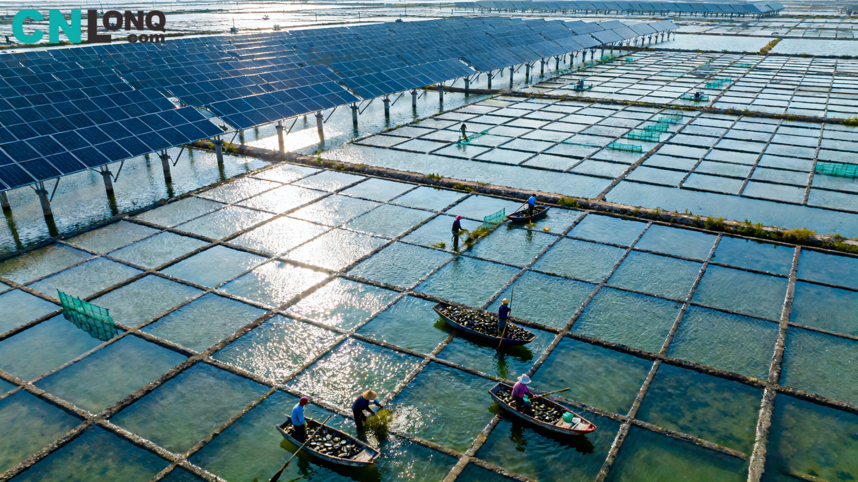 Συνολική επένδυση 1,2 δισεκατομμυρίων RMB! Πεδίο αλατιού Xindao Qingkou 250 MW 